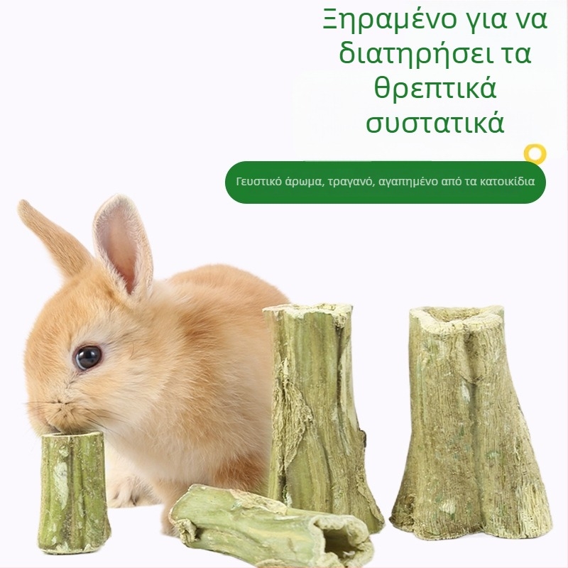 Μασώμενη ράβδος από ξύλο παπάγιας για μικρά ζώα — φυσικό παιχνίδι για κουνέλια, χιντζίλες και γουίνι; Μάρκα: Consultation