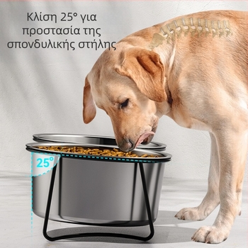 Μπολ σκύλου από ανοξείδωτο χάλυβα με αντι-ανατροπή, λειτουργία αργού φαγητού, σχεδίαση 2-σε-1