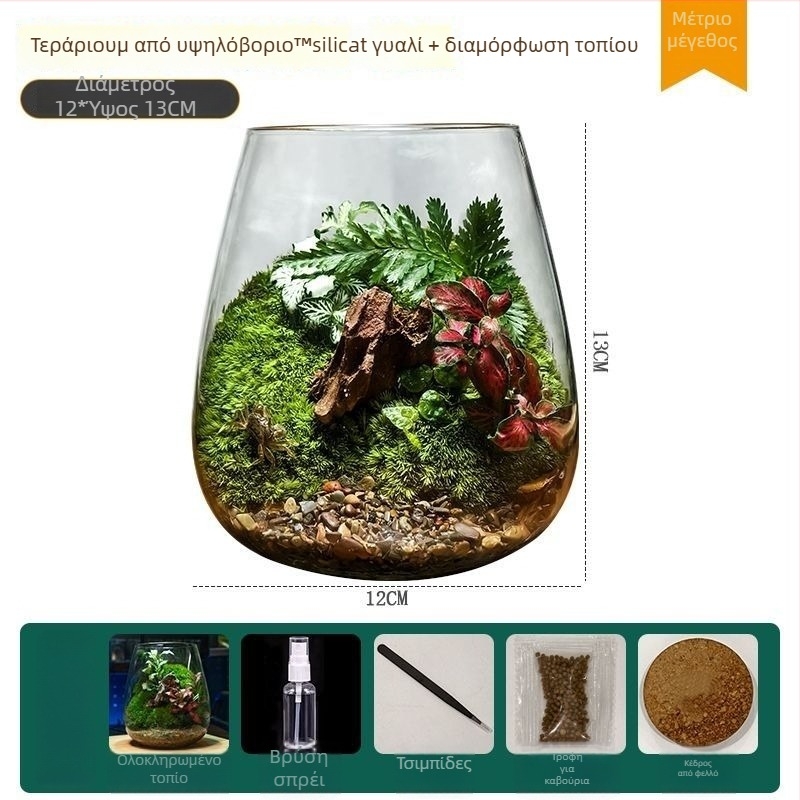 Μικρό τοπίο σε γυάλινο μπουκάλι terrarium για γραφείο — Μοντέλο ZY2533, Υλικό: Άλλο, Εισαγωγή: Όχι
