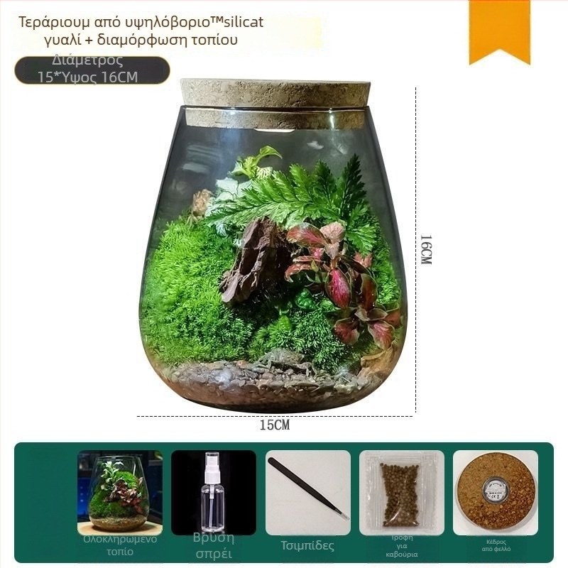 Μικρό τοπίο σε γυάλινο μπουκάλι terrarium για γραφείο — Μοντέλο ZY2533, Υλικό: Άλλο, Εισαγωγή: Όχι