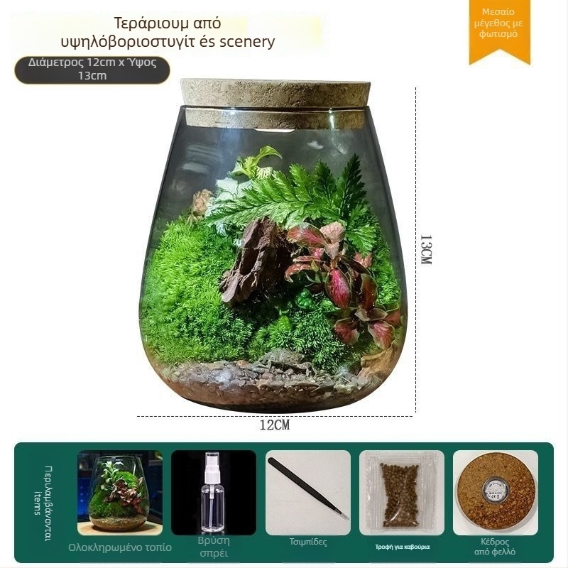 Μικρό τοπίο σε γυάλινο μπουκάλι terrarium για γραφείο — Μοντέλο ZY2533, Υλικό: Άλλο, Εισαγωγή: Όχι