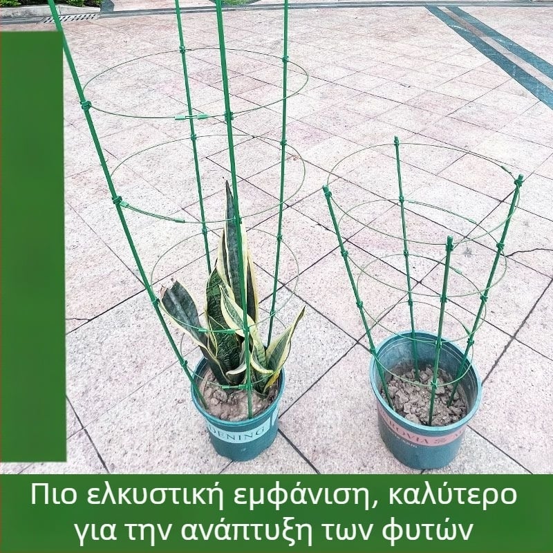 Εσωτερικός αναρριχητικός στήριγμα φυτών με πλαστικό πλαίσιο – κατάλληλο για τριανταφυλλιές και κληματίδες