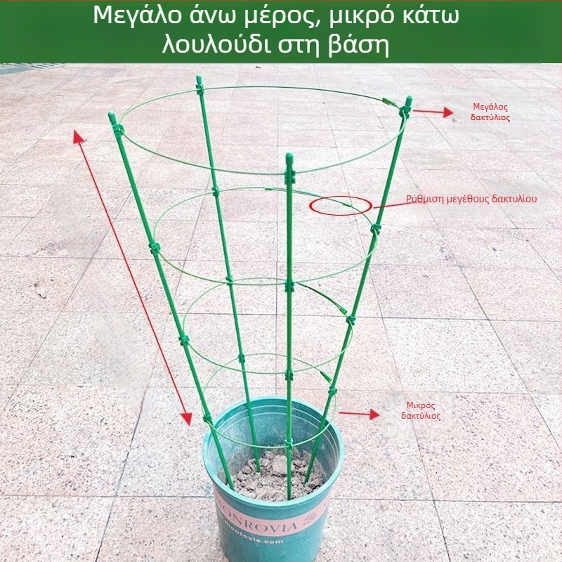 Εσωτερικός αναρριχητικός στήριγμα φυτών με πλαστικό πλαίσιο – κατάλληλο για τριανταφυλλιές και κληματίδες