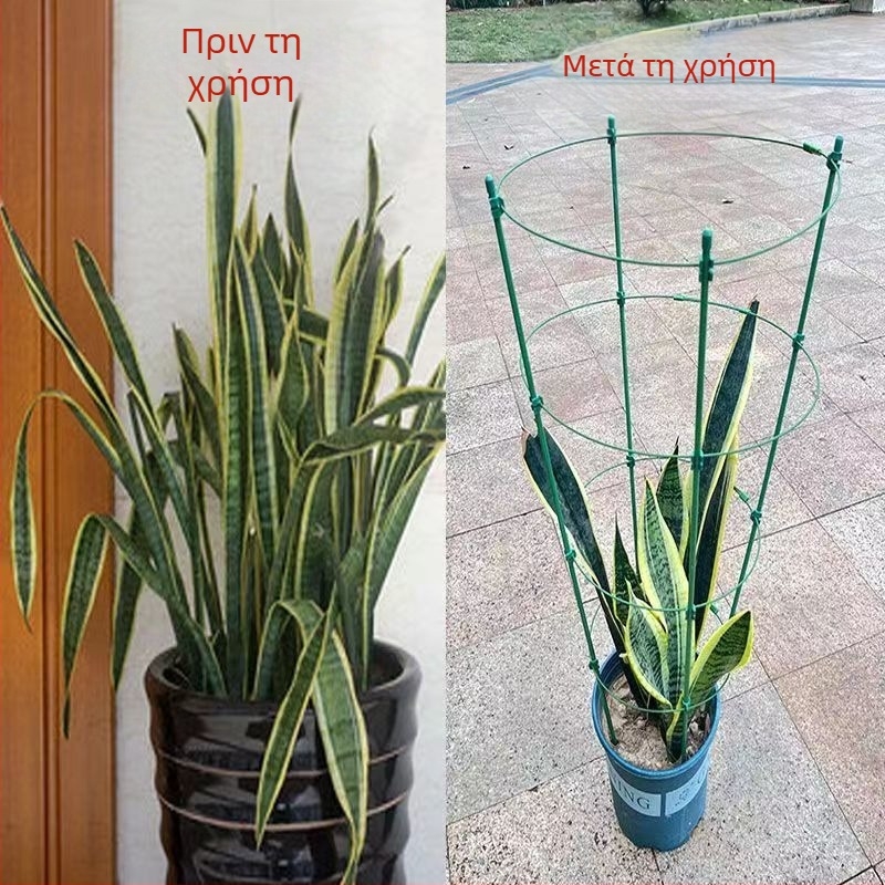 Εσωτερικός αναρριχητικός στήριγμα φυτών με πλαστικό πλαίσιο – κατάλληλο για τριανταφυλλιές και κληματίδες