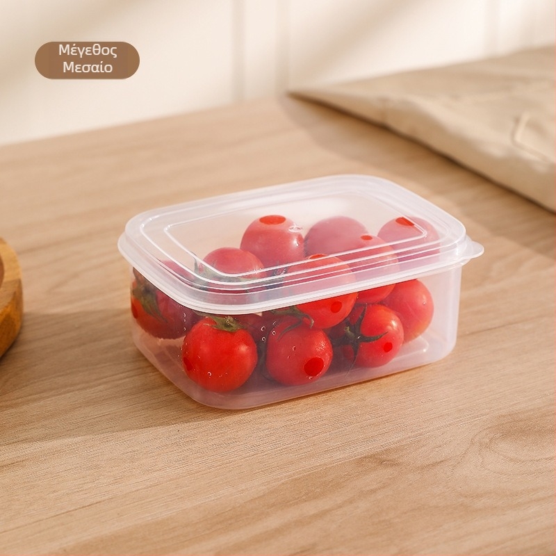 Πλαστικό δοχείο αποθήκευσης ψυγείου με καπάκι – κατάλληλο για τρόφιμα, διατηρεί τη φρεσκάδα, φορητό, για αποθήκευση κατεψυγμένου κρέατος