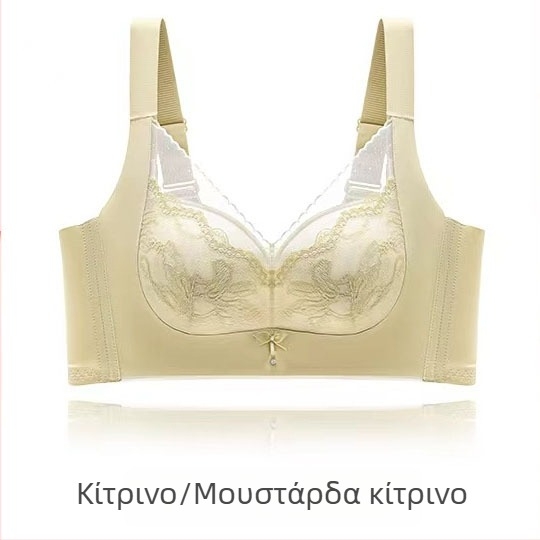 Δαντελένιο push-up σουτιέν χωρίς σύρμα, 3/4 κάλυψη, μεσαίου τύπου φόρμα, χωρίς μεταλλικό δαχτύλιο, modal επένδυση