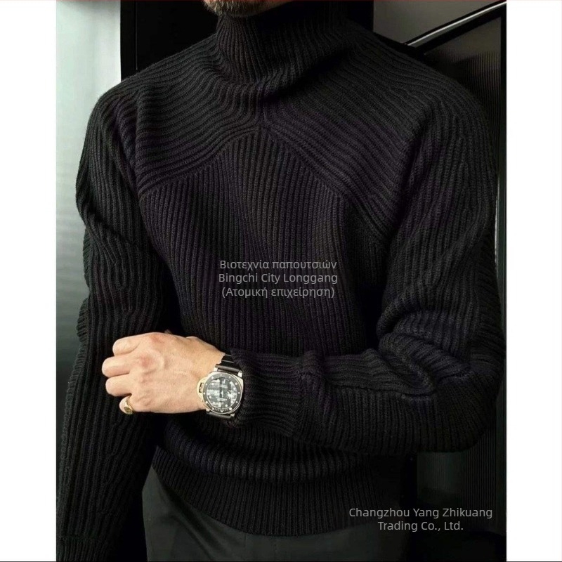 Ανδρικό πλεκτό πουλόβερ με ψηλό λαιμό, στενή γραμμή, μακριά μανίκια