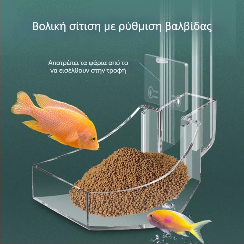 Ακρυλικός σωλήνας τροφοδοσίας για ενυδρείο με αυτόματη τροφοδοσία, διαφανής ταϊστής για γαρίδες — Strange Garden