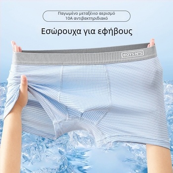 Αναπνεύσιμα αντιβακτηριακά εσώρουχα αγοριών από ice-silk ύφασμα, μποξέρ για παιδιά με μεσαίο έως μεγάλο ανάστημα