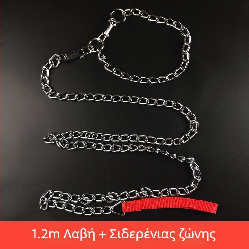 Λουρί σκύλου με σιδερένια αλυσίδα – αλυσίδα/σκοινί για κατοικίδια, μενταγιόν