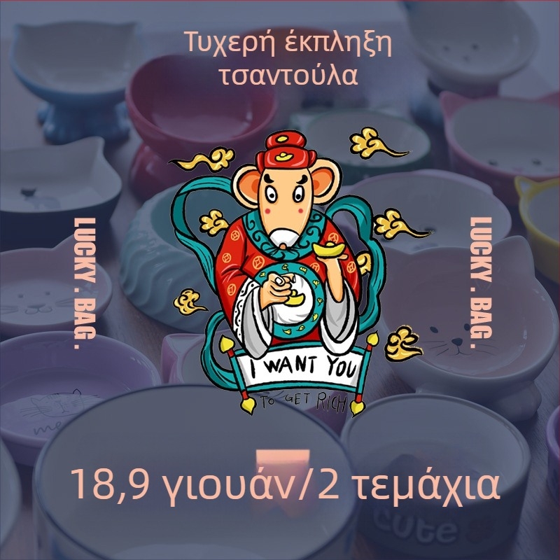 Κεραμικό μπολ κατοικίδιων με σχέδιο καρτούν γάτας και μικρού σκύλου, διπλό μπολ, αντιολισθητικό υπόστρωμα