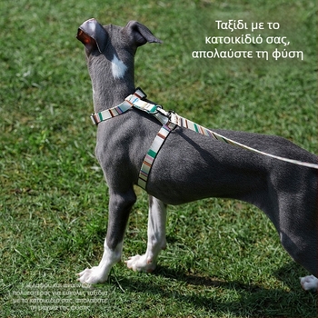 Zeze λουρί σκύλου σε Ι-σχήμα, ρυθμιζόμενο, αντι-ρήξη, γιλέκο-στυλ για μικρούς σκύλους; Υλικά: πολυεστέρας, ρητίνη πολυακεταλ, κράμα ψευδαργύρου