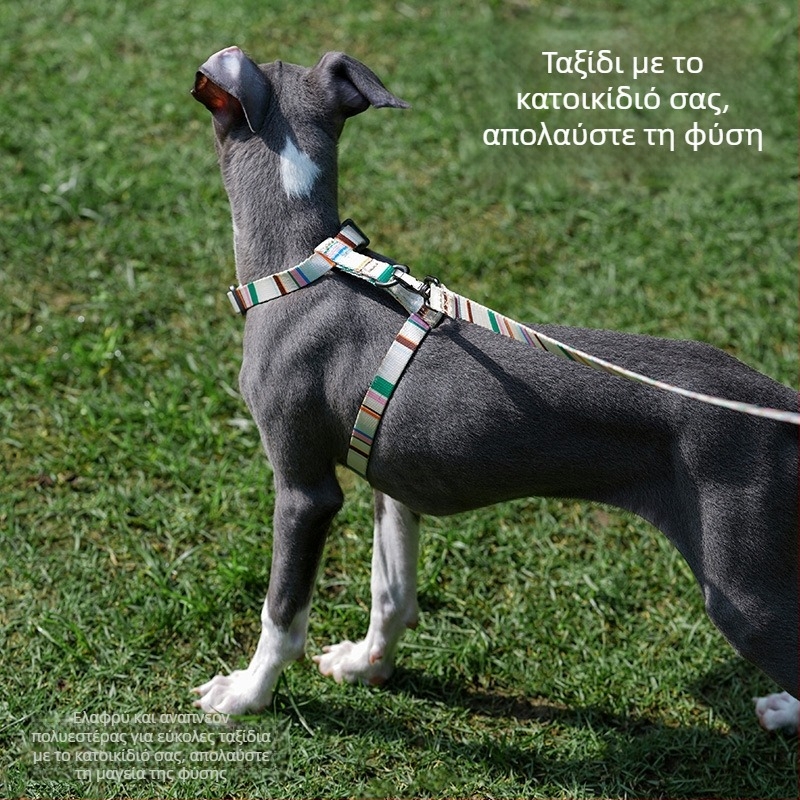 Zeze λουρί σκύλου σε Ι-σχήμα, ρυθμιζόμενο, αντι-ρήξη, γιλέκο-στυλ για μικρούς σκύλους; Υλικά: πολυεστέρας, ρητίνη πολυακεταλ, κράμα ψευδαργύρου