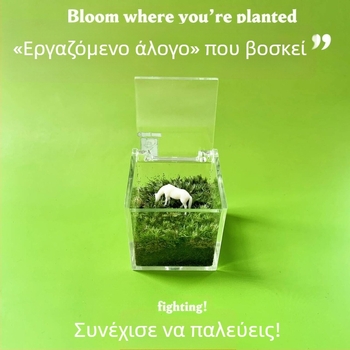 Μικρο-τοπίο από βρύα για εσωτερικούς χώρους, μικρό φυτό σε γλάστρα από βρύα, χειροποίητο διακοσμητικό