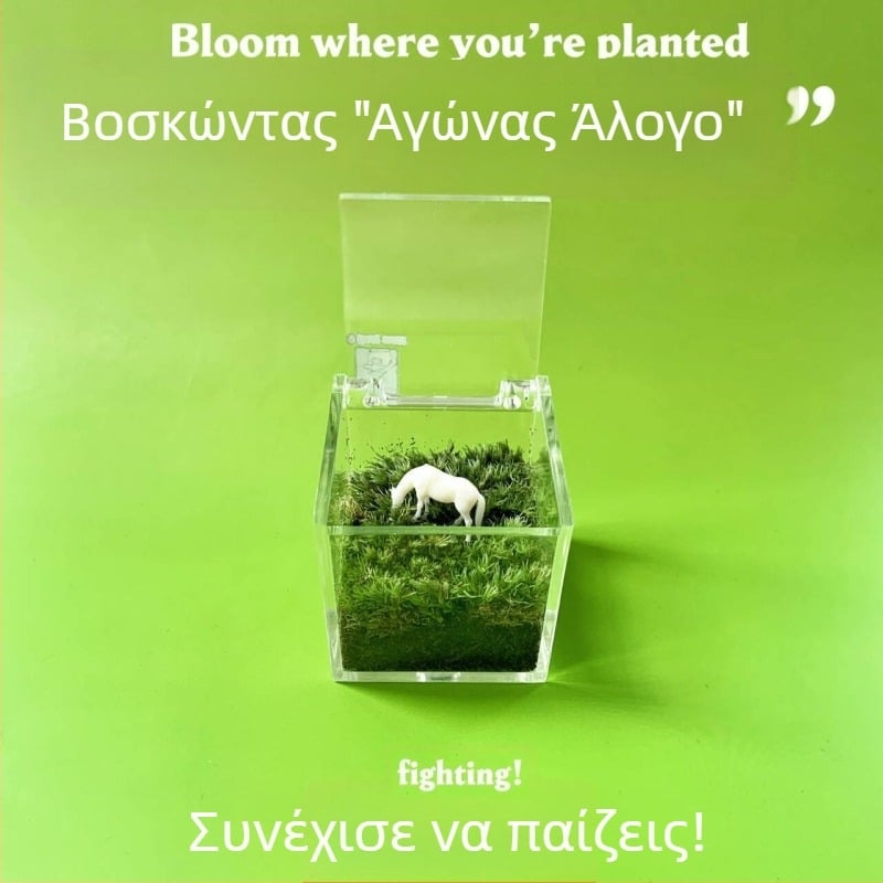 Μικρο-τοπίο με βρύα για εσωτερικό γραφείο – χειροποίητη μίνι σύνθεση από βρύα, δυνατότητα λογότυπου, δώρο για γραφεία