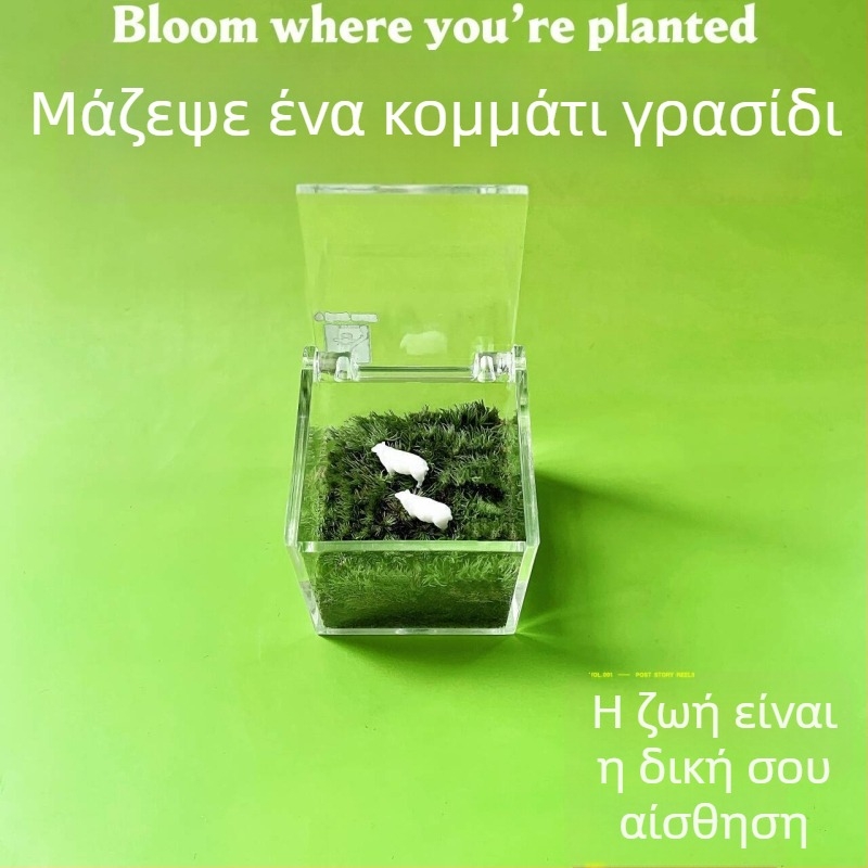 Μικρο-τοπίο από βρύα για εσωτερικούς χώρους, μικρό φυτό σε γλάστρα από βρύα, χειροποίητο διακοσμητικό