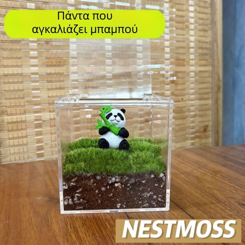 Μικροτοπία με βρύα σε μπουκάλι γραφείου – χειροποίητο, πλαστικό, δυνατότητα εκτύπωσης λογότυπου, κατάλληλο ως επιχειρηματικό δώρο