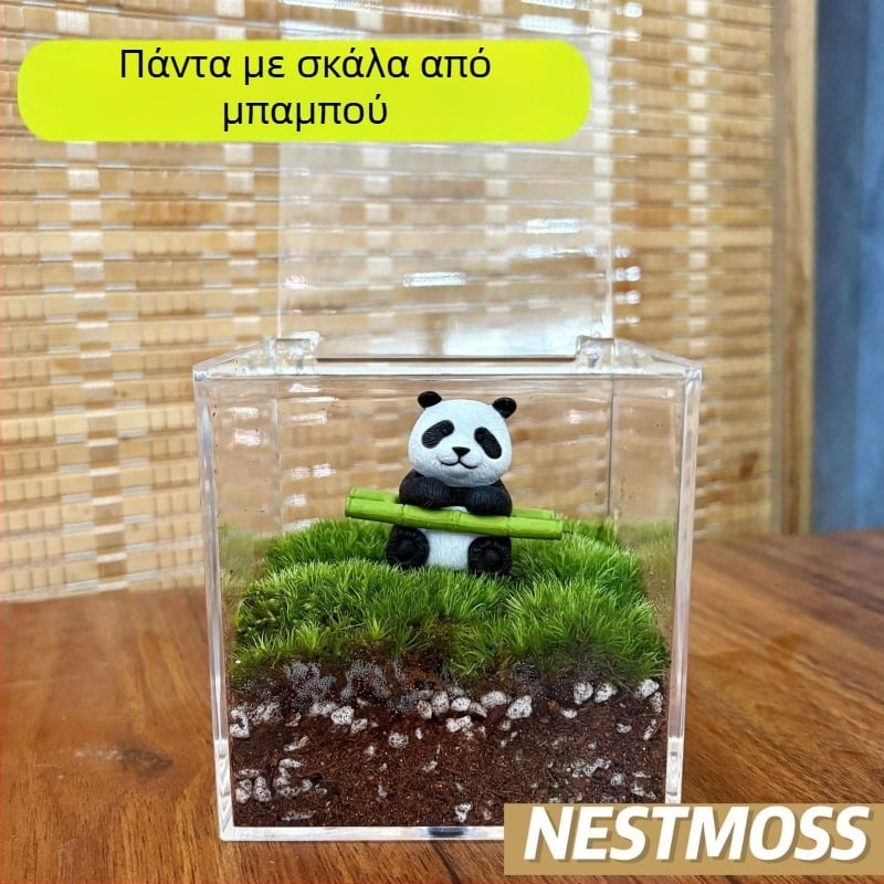 Μικροτοπία με βρύα σε μπουκάλι γραφείου – χειροποίητο, πλαστικό, δυνατότητα εκτύπωσης λογότυπου, κατάλληλο ως επιχειρηματικό δώρο