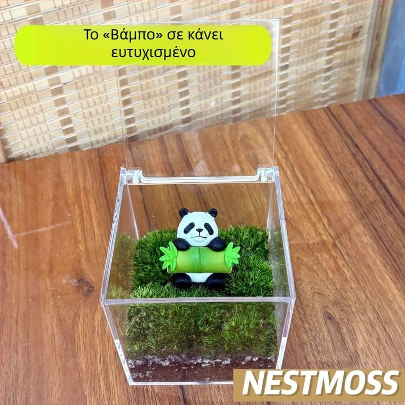 Μικροτοπία με βρύα σε μπουκάλι γραφείου – χειροποίητο, πλαστικό, δυνατότητα εκτύπωσης λογότυπου, κατάλληλο ως επιχειρηματικό δώρο