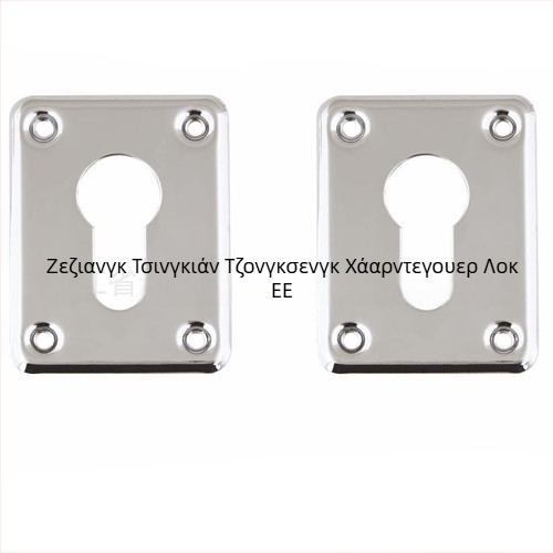 Διακοσμητικό εξάρτημα για την οπή του κυλίνδρου κλειδώματος, ανοξείδωτο ατσάλι, μοντέλο ZS5-HL, επίστρωση ηλεκτροπλατίωσης, για πόρτες κατά κλοπών