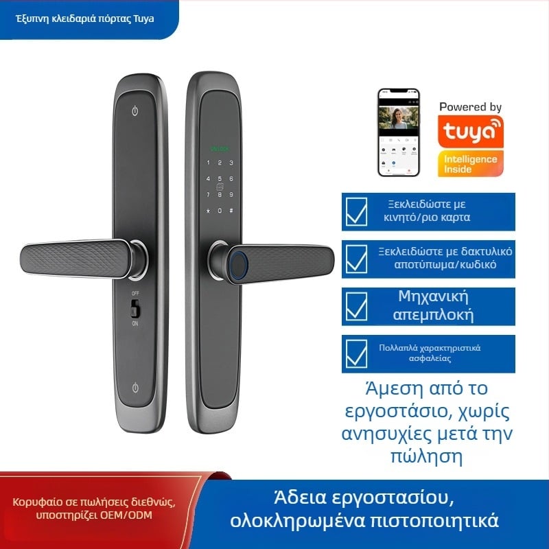 Έξυπνη κλειδαριά πόρτας ξενοδοχείου/διαμερίσματος με ανάγνωση δακτυλικού αποτυπώματος και πρόσβαση με κάρτα, PIN, δυναμικό κωδικό και IC κάρτα (Tuya 2.4G WiFi, μοντέλο Td-w6-b, mortise 5050/6068/6072/6085)