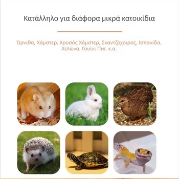 Πανοραμικό κλουβί για χάμστερ με αποσπώμενο ασφαλές φωλί — κατάλληλο για όλες τις εποχές, μικρά κατοικίδια; προέλευση Yiwu; υλικό: Άλλο; μάρκα: Άλλο