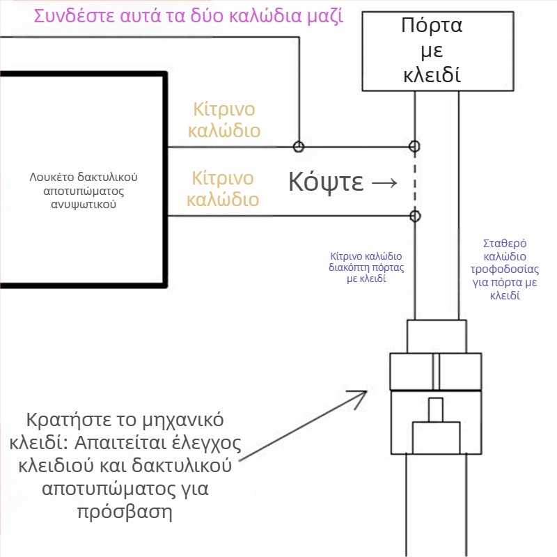 Κλειδαριά με αποτύπωμα για περονοφόρο, αναγνώστη καρτών και ελεγκτή πρόσβασης (Μοντέλο D135, United Speed Star)