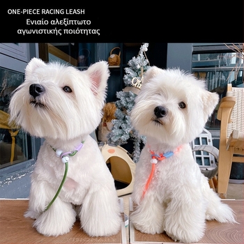 P-Chain λουρί σκύλου για εκπαίδευση, λουρί εκπαίδευσης κουταβιών, κατηγορία: αλυσίδες και σκοινιά κατοικίδιων — αγωνιστικής ποιότητας (Μάρκα: Unique; Μοντέλο: P-Chain)