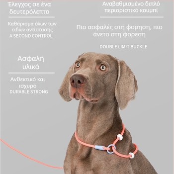 P-Chain λουρί σκύλου για εκπαίδευση, λουρί εκπαίδευσης κουταβιών, κατηγορία: αλυσίδες και σκοινιά κατοικίδιων — αγωνιστικής ποιότητας (Μάρκα: Unique; Μοντέλο: P-Chain)