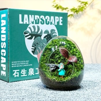 Γυάλινο τεραριουμ με μινι τοπίο από βρύα σε κέλυφος αυγού — εσωτερικό διακοσμητικό μπουκάλι με πραγματικό βρύα (Υλικό: Γυαλί; Στυλ: Άλλο; Εισαγωγή: Όχι; IP Άδεια: Όχι)