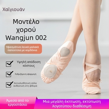 Μπαλέτικά παπούτσια με κορδόνια για χορό, πάνω μέρος από καμβά, δερμάτινη σόλα, αναπνέουν και ελαφριά, για παιδιά