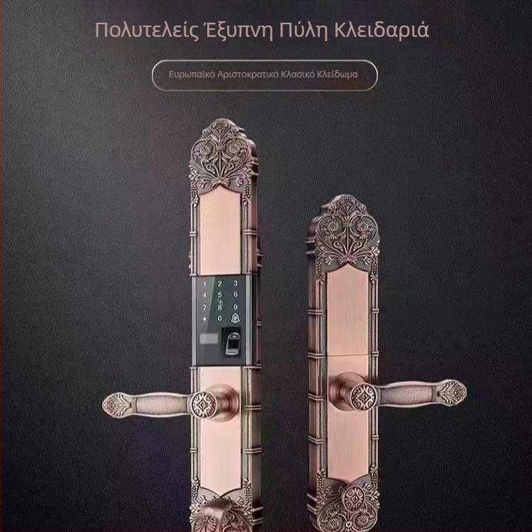 Έξυπνο κλείδωμα πόρτας βίλας με αναγνώριση δακτυλικού αποτυπώματος και κωδικό, 100 αποθηκευμένα αποτυπώματα, σάρωση σε 3 δευτερόλεπτα, -25 έως 55°C, διάρκεια ζωής 10000 κύκλοι, τροφοδοσία DC