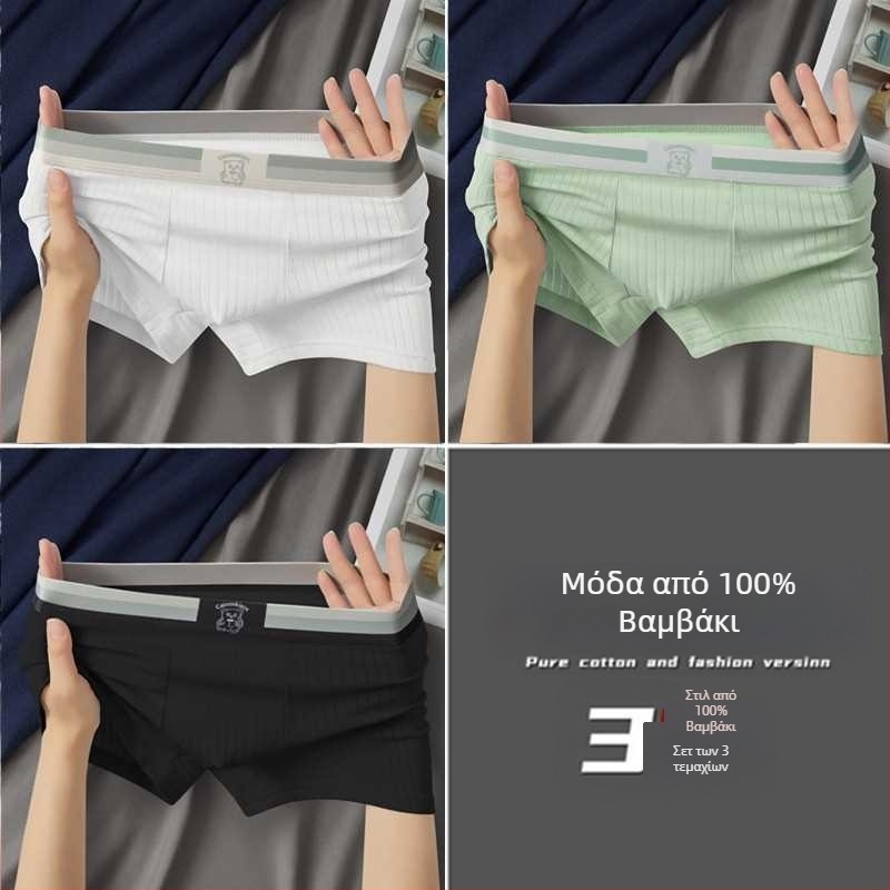 Ανδρικά boxers από βαμβάκι με μέση στη μέση, διαπνοή, αντιβακτηριακό, ριβ-ύφανση, επένδυση καβάλου από βισκόζη