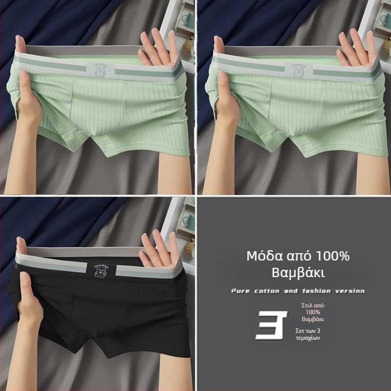Ανδρικά boxers από βαμβάκι με μέση στη μέση, διαπνοή, αντιβακτηριακό, ριβ-ύφανση, επένδυση καβάλου από βισκόζη