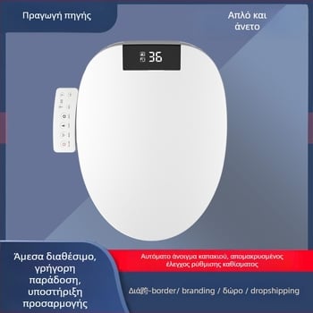 Έξυπνο κάλυμμα τουαλέτας 110V με άμεση θέρμανση, ABS υλικό, ρύθμιση θερμοκρασίας νερού, πλύση περιοχής, θέρμανση δακτυλίου καθίσματος