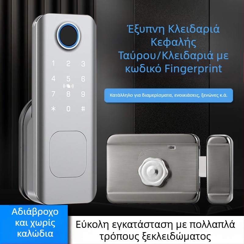 Έξυπνο λουκέτο για πόρτα από ανοξείδωτο ατσάλι με αναγνώριση δακτυλικού αποτυπώματος και κωδικό, αδιάβροχο εξωτερικό (Μοντέλο: G105; Εισαγωγή: Όχι; Επεξεργασία: Όχι)