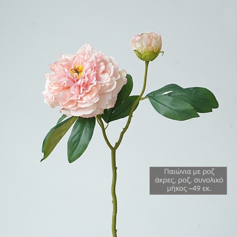 Μπουκέτο παιωνίας με μεταξωτά άνθη και εκλεπτυσμένες ακμές από Artistic Shadow