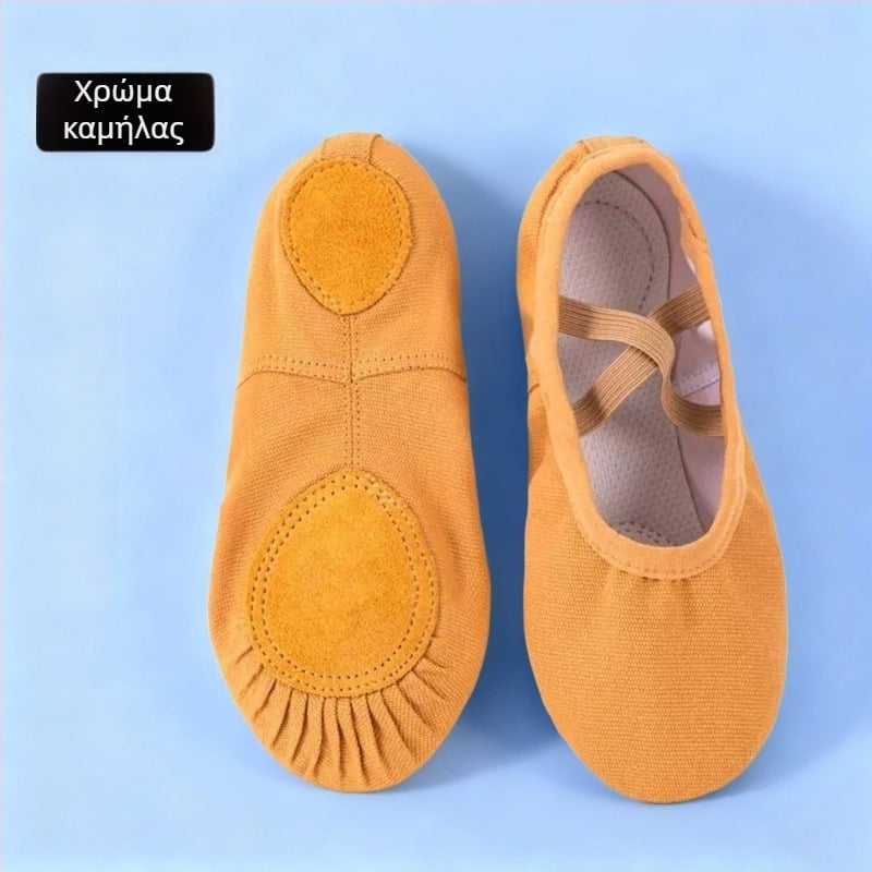 Art Dance Flower Μπαλέτα Μαλακά Παπούτσια για Παιδιά - Άνω Καμβάς, Σχέδιο σε Σχήμα Γάτας, Για Ασκηση Χορού