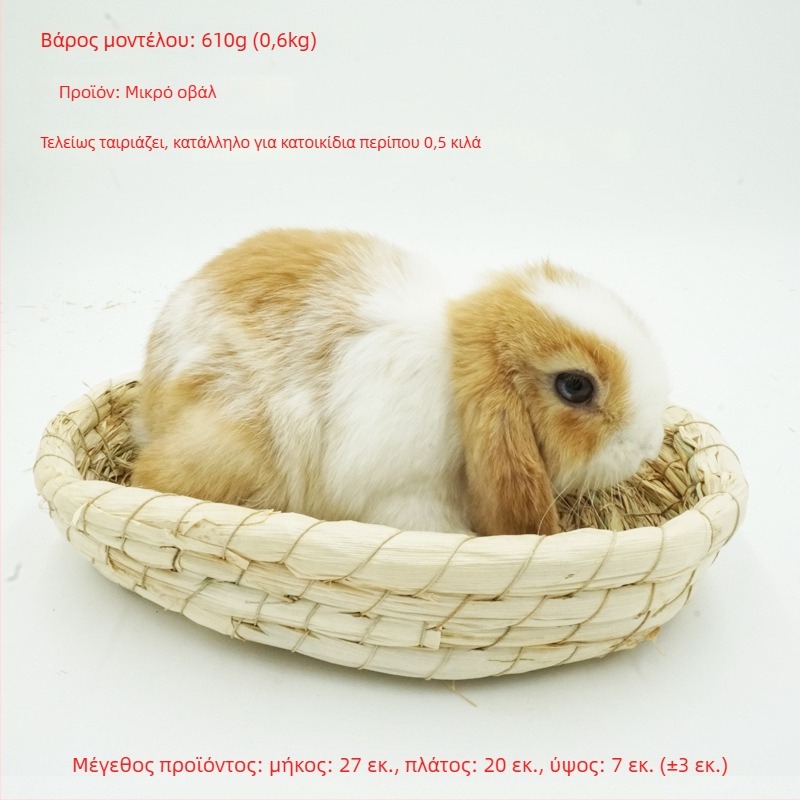 Χειροποίητο φωλίστρι από χορτάρι για μικρά κατοικίδια – κατάλυμα για κουνέλια, τσιντσίλα, σκαντζόχοιρους – Υλικό: μεταξωτό λουλούδι