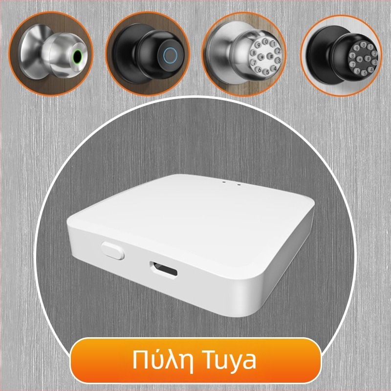 Έξυπνο σφαιρικό κλείδωμα πόρτας με τρεις ράβδους για εσωτερικές ξύλινες πόρτες, αποθήκευση δακτυλικών αποτυπωμάτων 50, τροφοδοσία DC, εξ αποστάσεως ξεκλείδωμα