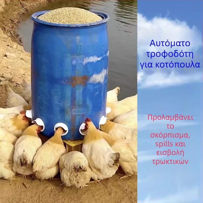 Αυτόματη ταϊστρα κοτόπουλων με προστασία από ποντίκια, πλαστική κατασκευή, πλήρες σετ αυτοματοποιημένου ταΐσματος, κατάλληλη για ενυδρείο