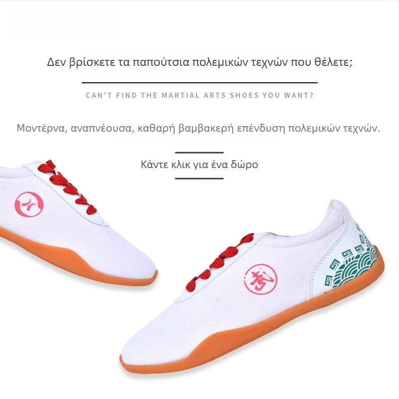 Παπούτσια Tai Chi – σουέτ επάνω μέρος, επένδυση από δερματικά μικροϊνών, σόλα από αφρό καουτσούκ, κατασκευή με έγχυση, μοντέλο LKF0012