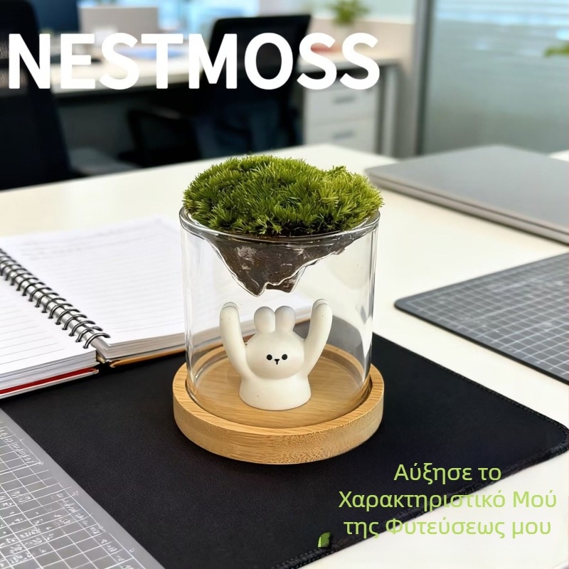 Γυάλινο βάζο με μίνι τοπίο από βρύα για γραφείο, γυαλί υψηλής αντοχής, μάρκα Independent, δώρο επιχειρήσεων