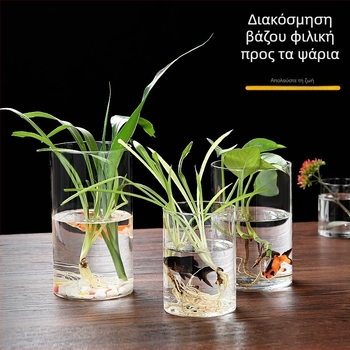 Δοχείο από γυαλί υψηλής αντοχής για υδροπονία, ανθοδέσεις και διαφανές ενυδρείο, χαρτονένια συσκευασία