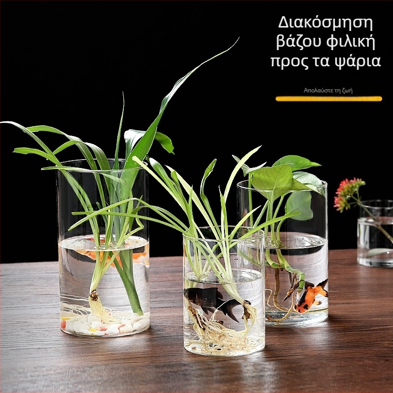 Δοχείο από γυαλί υψηλής αντοχής για υδροπονία, ανθοδέσεις και διαφανές ενυδρείο, χαρτονένια συσκευασία