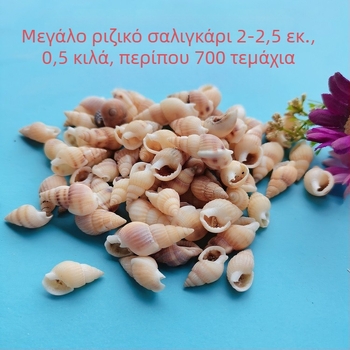 Διάκοσμητικά ενυδρείου από κοχύλια – φυσικά θαλάσσια κοχύλια, ναυτικό στυλ, πλήρως φυσική κατασκευή (Υλικό: Κοχύλι; Στυλ: Ναυτικό; Διαδικασία: Βιονική; Εφαρμογές: αξεσουάρ φωτογραφικών στούντιο, απεικονίσεις ενυδρείου)