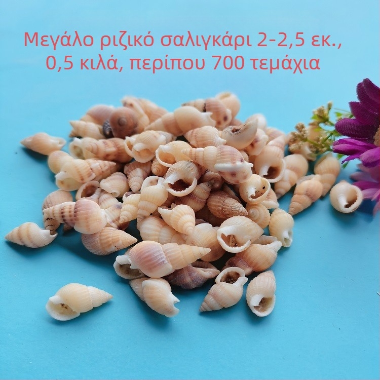 Διάκοσμητικά ενυδρείου από κοχύλια – φυσικά θαλάσσια κοχύλια, ναυτικό στυλ, πλήρως φυσική κατασκευή (Υλικό: Κοχύλι; Στυλ: Ναυτικό; Διαδικασία: Βιονική; Εφαρμογές: αξεσουάρ φωτογραφικών στούντιο, απεικονίσεις ενυδρείου)