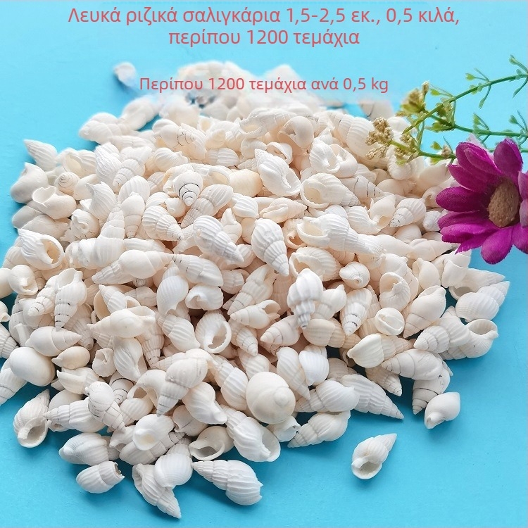 Διάκοσμητικά ενυδρείου από κοχύλια – φυσικά θαλάσσια κοχύλια, ναυτικό στυλ, πλήρως φυσική κατασκευή (Υλικό: Κοχύλι; Στυλ: Ναυτικό; Διαδικασία: Βιονική; Εφαρμογές: αξεσουάρ φωτογραφικών στούντιο, απεικονίσεις ενυδρείου)