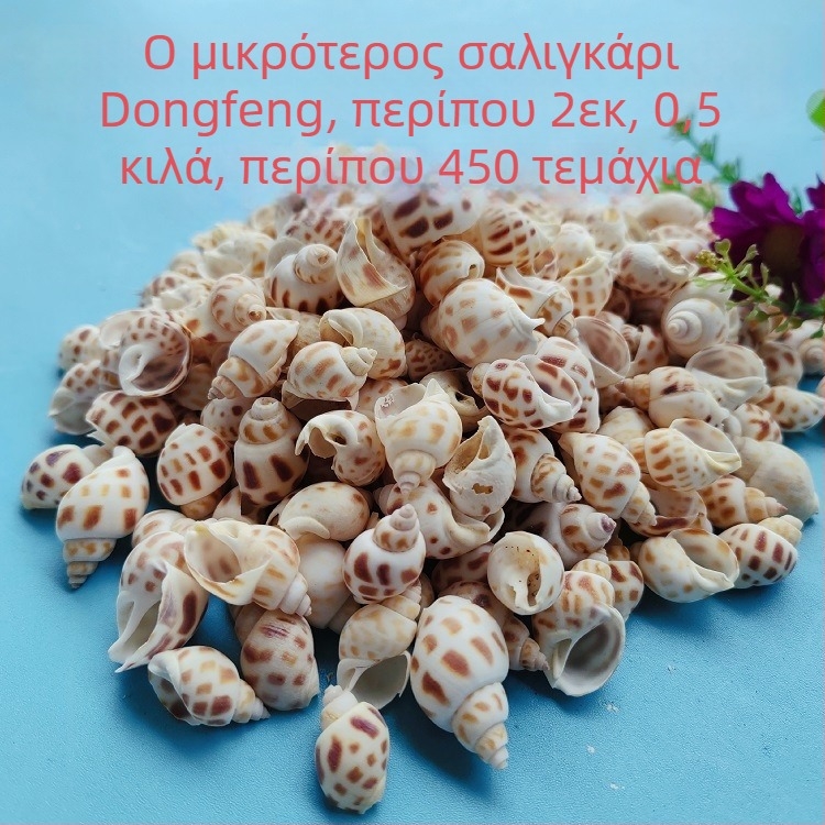 Διάκοσμητικά ενυδρείου από κοχύλια – φυσικά θαλάσσια κοχύλια, ναυτικό στυλ, πλήρως φυσική κατασκευή (Υλικό: Κοχύλι; Στυλ: Ναυτικό; Διαδικασία: Βιονική; Εφαρμογές: αξεσουάρ φωτογραφικών στούντιο, απεικονίσεις ενυδρείου)