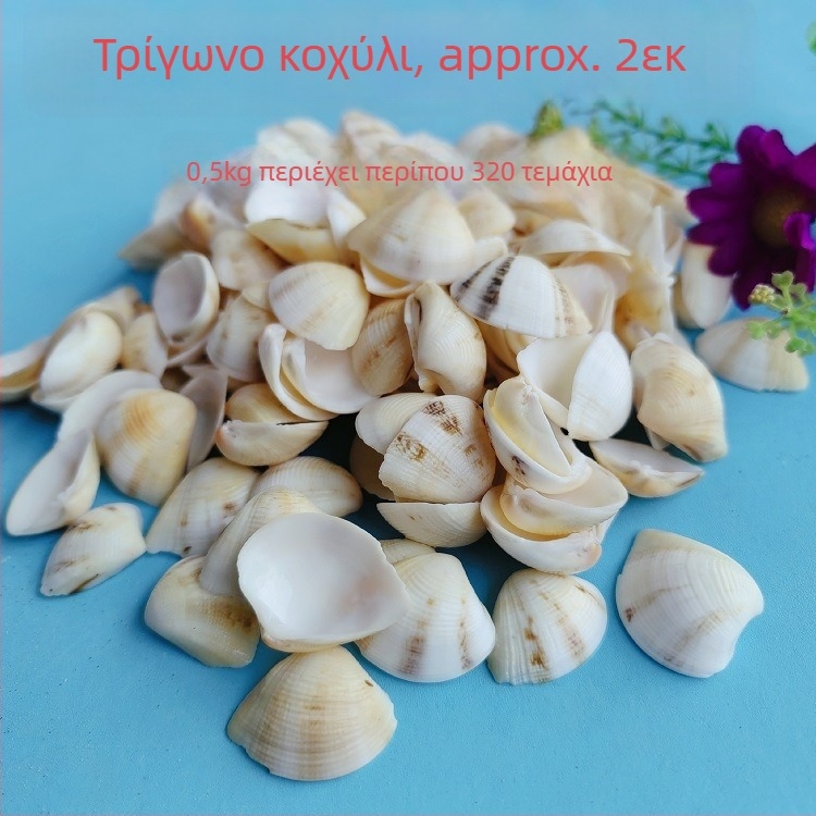 Διάκοσμητικά ενυδρείου από κοχύλια – φυσικά θαλάσσια κοχύλια, ναυτικό στυλ, πλήρως φυσική κατασκευή (Υλικό: Κοχύλι; Στυλ: Ναυτικό; Διαδικασία: Βιονική; Εφαρμογές: αξεσουάρ φωτογραφικών στούντιο, απεικονίσεις ενυδρείου)